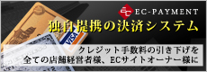 店舗クレジットカード決済端末システム導入